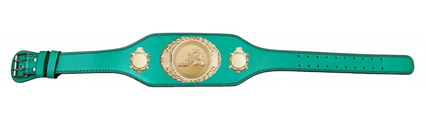 JIU JITSU CHAMPIONSHIP BELT-BUD295/G/JJG-4 COLOURS